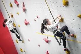 角田裕毅发誓：必将重返F1